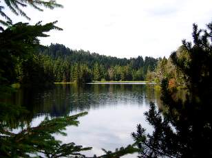 Etang de la Gru�re