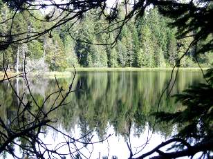 Etang de la Gru�re