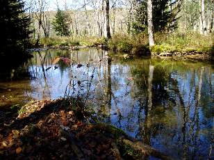 Vall�e du H�risson