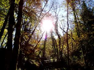 Vall�e du H�risson