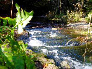 Vall�e du H�risson