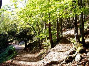 Vall�e du H�risson