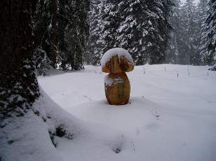 Temp�te sur le Jura