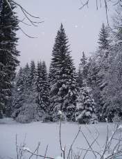 Temp�te sur le Jura