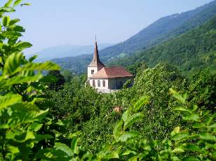 Dans les champs en juillet