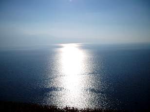 Vigne du Lavaux en novembre avec vue sur le lac L�man