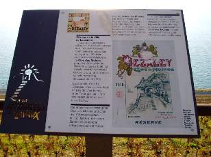 Vigne du Lavaux en novembre