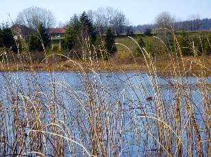 Lac et tourbi�res de Malpas, les pr�s Partot et le bief Belin