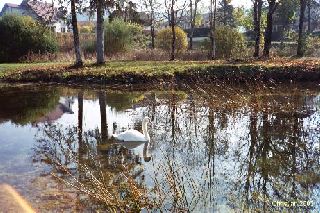 R�veries d'automne 