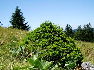 Vall�e des Ponts-de-Martel