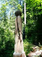 Amour juv�nile 2001