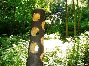 D�coration - trous 2005