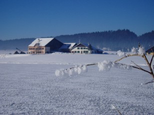 Le lac des Taill�res en hiver