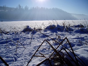Le lac des Taill�res en hiver