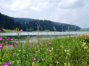 Le lac des Taill�res