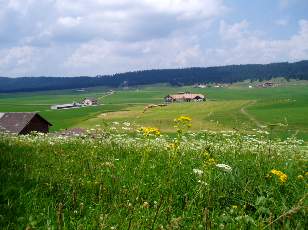 Le lac des Taill�res