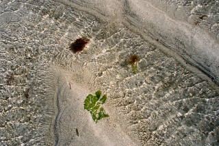 Calme avant la temp�te...