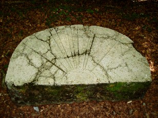 Table d'orientation en for�t