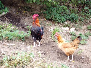 Les alentours de Beaud�an