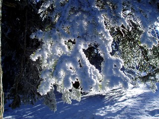 Beaut� de la Nature