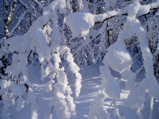 Beaut� de la Nature