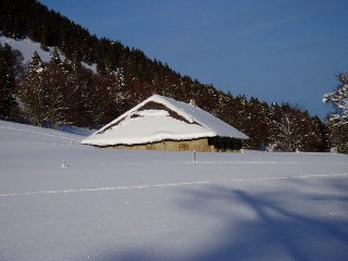 Beaut� de la Nature