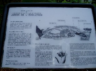 Jardin botanique au mois d'ao�t � Neuch�tel