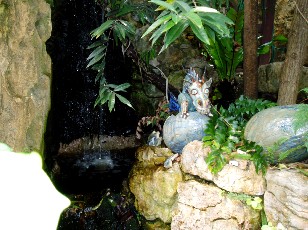 Jardin botanique au mois d'ao�t � Neuch�tel