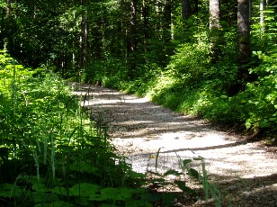 Gorges de la Po�ta-Raisse