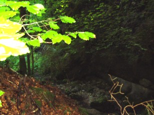 Gorges de la Po�ta-Raisse