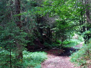 Gorges de la Po�ta-Raisse