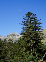 Magie et Beaut� de la Nature au Pont d'Espagne !