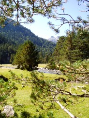 Magie et Beaut� de la Nature au Pont d'Espagne !