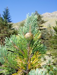 Magie et Beaut� de la Nature au Pont d'Espagne !