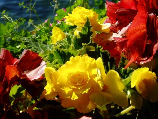 Ch�teau de Chillon